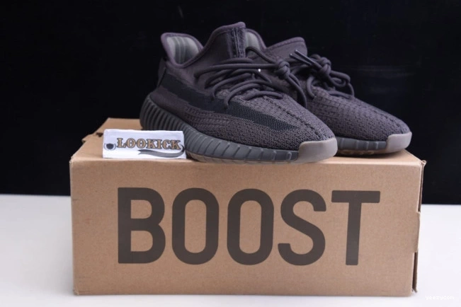 FY2903 350 Yeezy Boost V2 Adidas 
